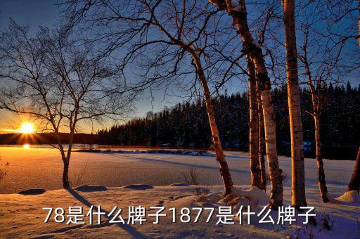 78是什么牌子1877是什么牌子