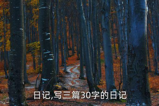 三篇日记,写三篇30字的日记