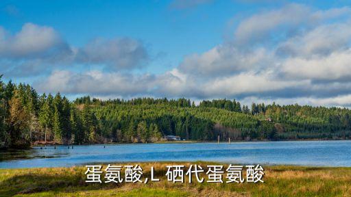 蛋氨酸,L 硒代蛋氨酸