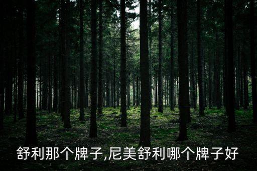 舒利那个牌子,尼美舒利哪个牌子好