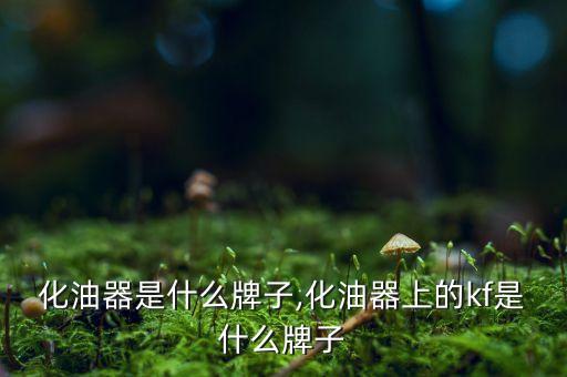 化油器是什么牌子,化油器上的kf是什么牌子