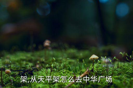 架,从天平架怎么去中华广场