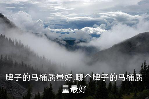 牌子的马桶质量好,哪个牌子的马桶质量最好