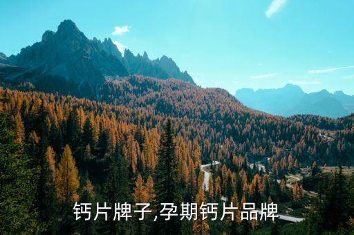 孕妇钙片牌子,孕期钙片品牌