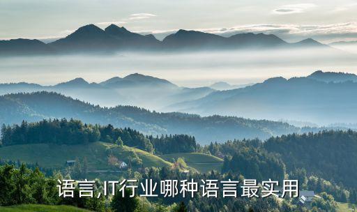 行业语言,IT行业哪种语言最实用?