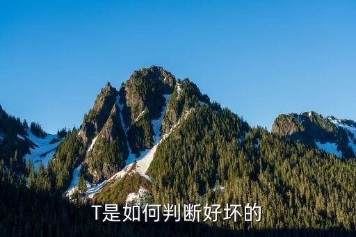 T是如何判断好坏的