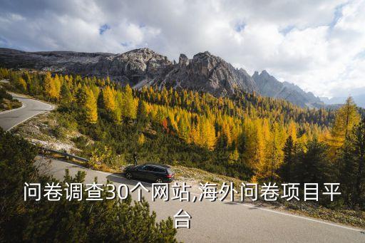 国外问卷调查30个网站,海外问卷项目平台