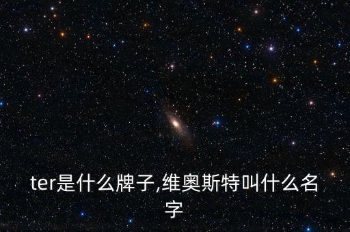 ter是什么牌子,维奥斯特叫什么名字