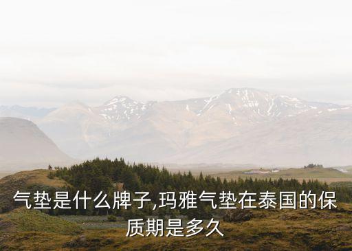 气垫是什么牌子,玛雅气垫在泰国的保质期是多久