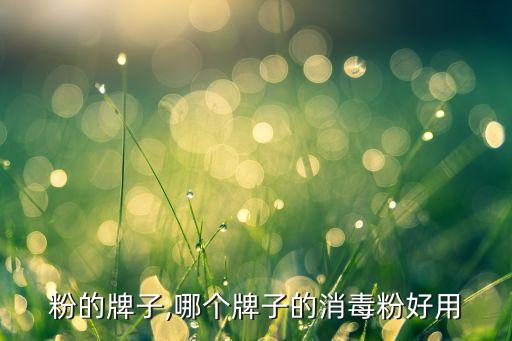 消毒粉的牌子,哪个牌子的消毒粉好用?