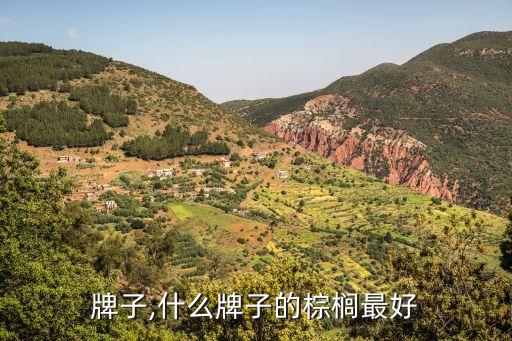 棕子牌子,什么牌子的棕榈最好?