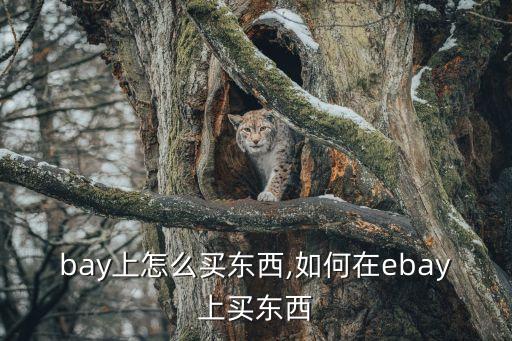 在ebay上怎么买东西,如何在ebay上买东西?