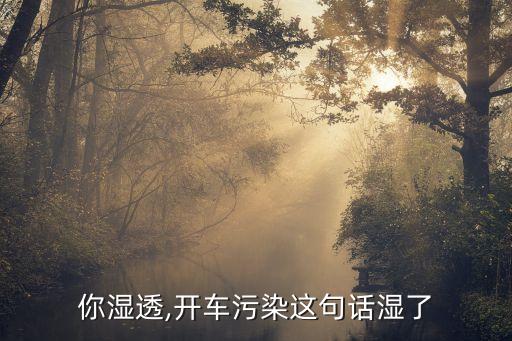 你湿透,开车污染这句话湿了