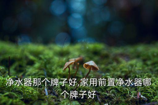 净水器那个牌子好,家用前置净水器哪个牌子好