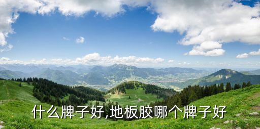 地胶什么牌子好,地板胶哪个牌子好?