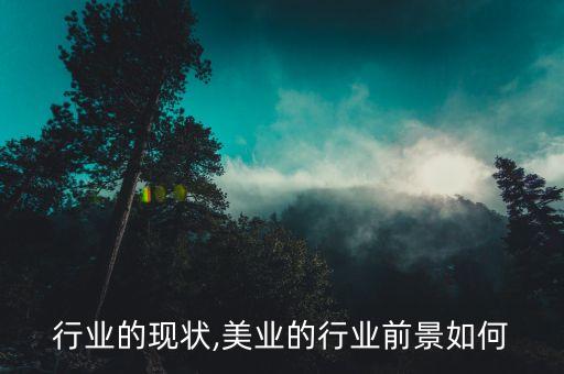 行业的现状,美业的行业前景如何