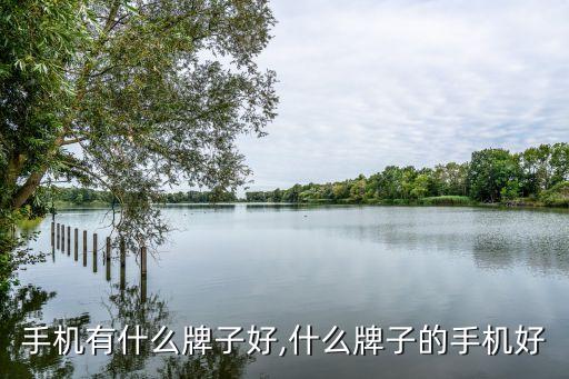 手机有什么牌子好,什么牌子的手机好