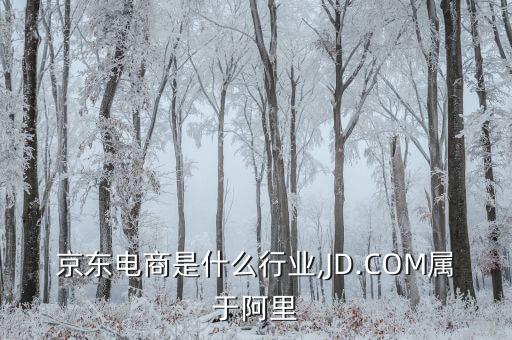 阿里京东电商是什么行业,JD.COM属于阿里