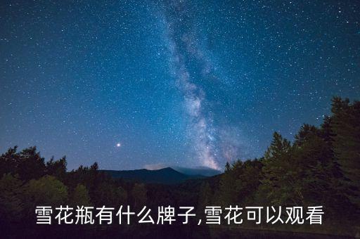 罐头雪花瓶有什么牌子,雪花可以观看