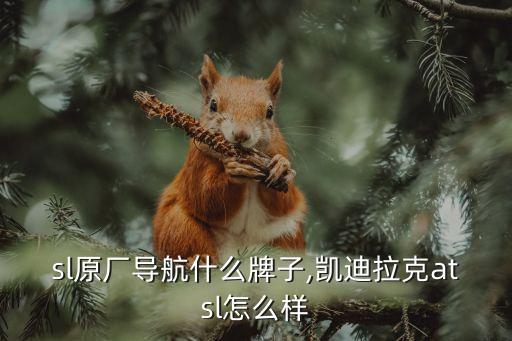 sl原厂导航什么牌子,凯迪拉克atsl怎么样