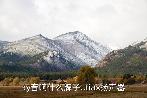 ay音响什么牌子.,fiax扬声器