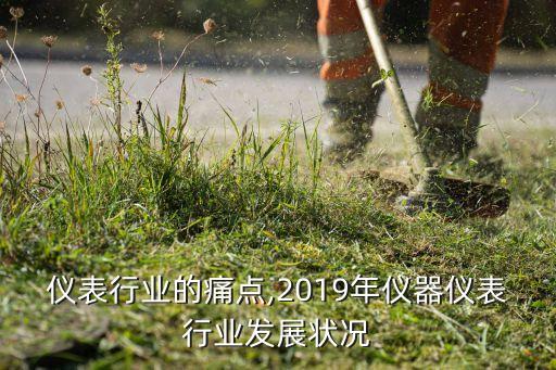 仪表行业的痛点,2019年仪器仪表行业发展状况