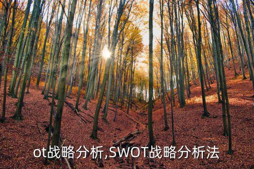 ot战略分析,SWOT战略分析法