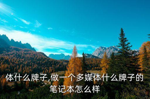 多媒体什么牌子,做一个多媒体什么牌子的笔记本怎么样?