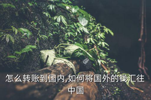 怎么转账到国内,如何将国外的钱汇往中国