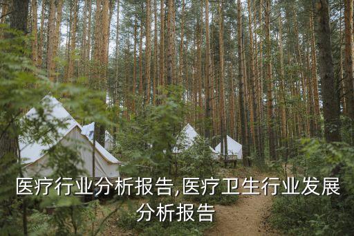 医疗行业分析报告,医疗卫生行业发展分析报告