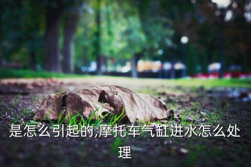 淹缸是怎么引起的,摩托车气缸进水怎么处理?