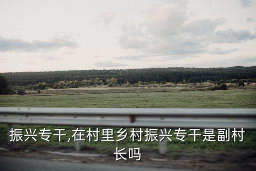 乡村振兴专干,在村里乡村振兴专干是副村长吗?
