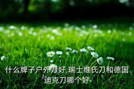 德国什么牌子户外刀好,瑞士维氏刀和德国迪克刀哪个好?