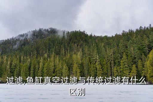 真空过滤,鱼缸真空过滤与传统过滤有什么区别?