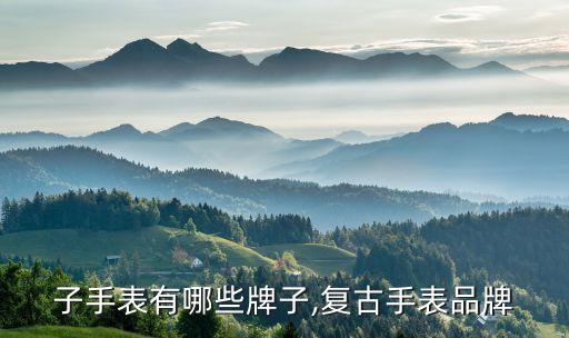 老牌子手表有哪些牌子,复古手表品牌
