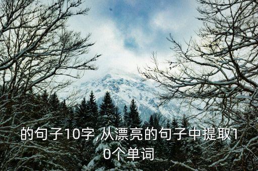 优美的句子10字,从漂亮的句子中提取10个单词