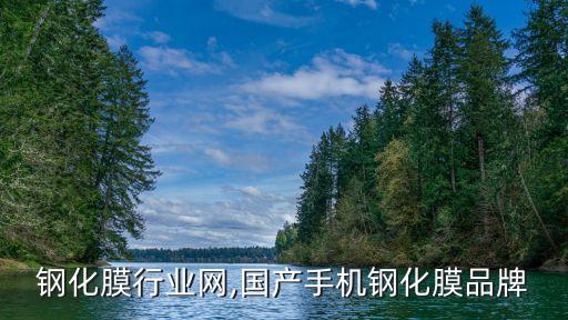 钢化膜行业网,国产手机钢化膜品牌