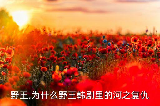 韩剧野王,为什么野王韩剧里的河之复仇?