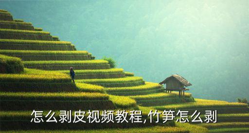 怎么剥皮视频教程,竹笋怎么剥