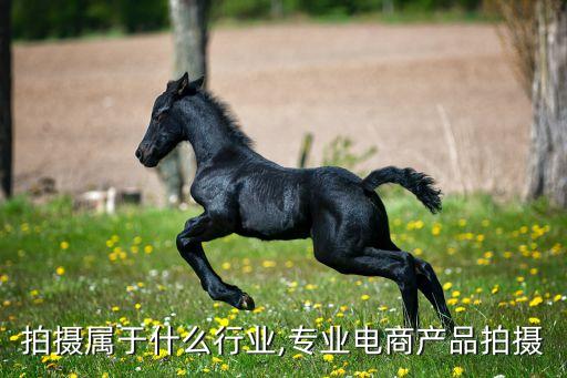 电商拍摄属于什么行业,专业电商产品拍摄