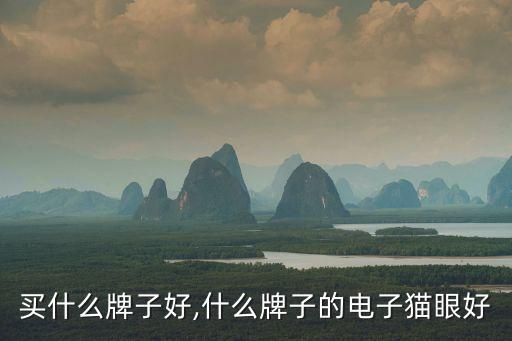 猫眼买什么牌子好,什么牌子的电子猫眼好?