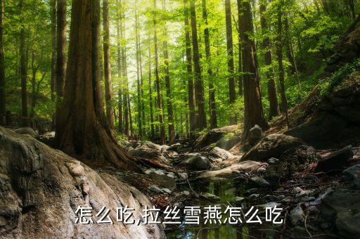 怎么吃,拉丝雪燕怎么吃