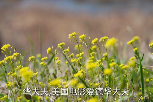 华大夫,美国电影爱德华大夫