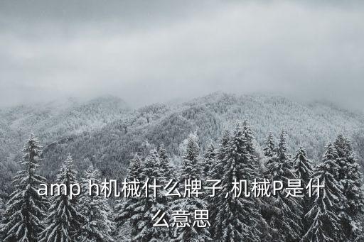 p amp h机械什么牌子,机械P是什么意思?