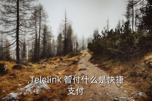 智付,Telelink 智付什么是快捷支付?