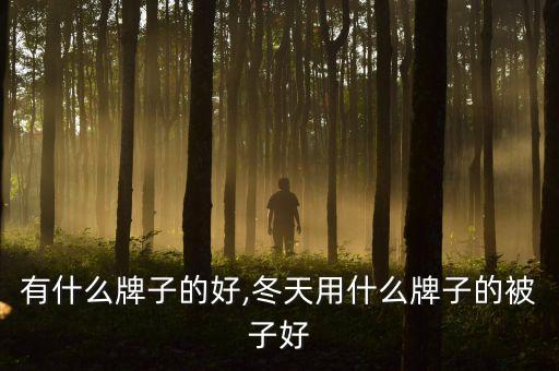 有什么牌子的好,冬天用什么牌子的被子好