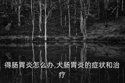 得肠胃炎怎么办,犬肠胃炎的症状和治疗