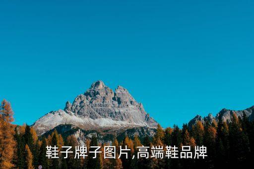 鞋子牌子图片,高端鞋品牌