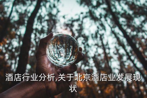 酒店行业分析,关于北京酒店业发展现状