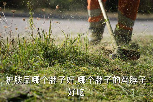 护肤品哪个牌子好,哪个牌子的鸡脖子好吃
